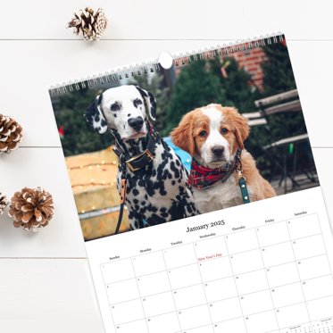 Two personalized monthly wall calendars from Mpix featuring large photos celebrating the month above a typical calendar grid. One has spiral binding on top, and the other in the middle. 