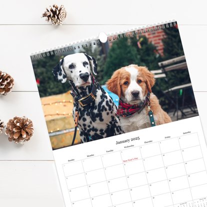 A wall calendar with spiral binding on top, a large photo of two pet dogs, and a calendar grid of January 2025.