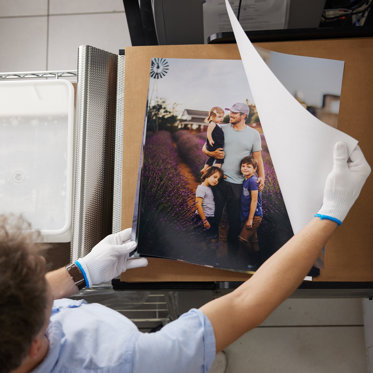 A photo lab worker inspecting the color on a large photo print featuring a dad with his three young kids standing in a field of lavender.