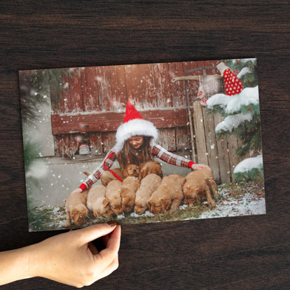 A hand holding a 5x7 print of a little girl in a Santa hat shepherding a litter of golden retriever puppies outside in the snow. 