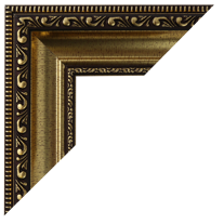 Gold Ornate Frame