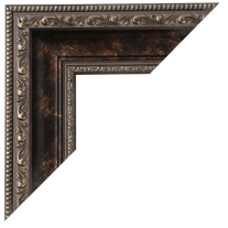 Bronze Ornate Frame