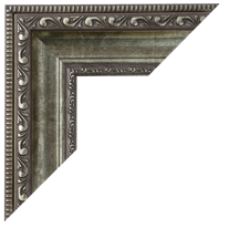 Silver Ornate Frame