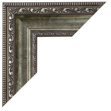 Silver Ornate Frame