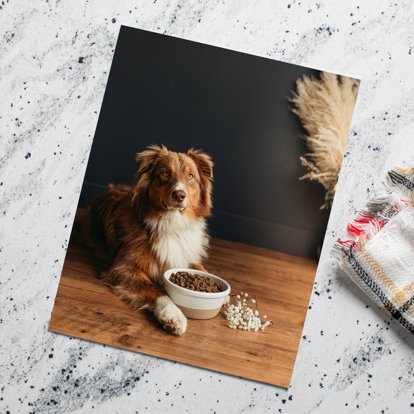 A large photo print laying on a countertop featuring an image of a pet dog.