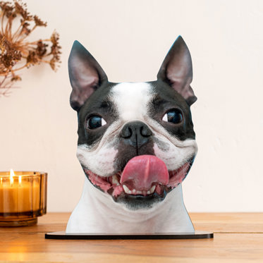 Personalized cutout statuette from Mpix displayed on a table featuring a photo of a pet dog.