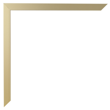 Gold Flat Metal Frame