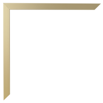 Gold Flat Metal Frame