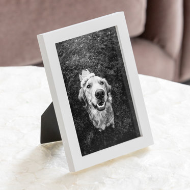 An Mpix Tabletop Framed Photo Print in a White Frame & White Window Mat with a picture of a pet dog