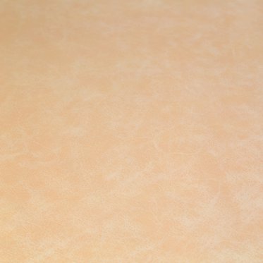 Seasonal Sandstone Leather