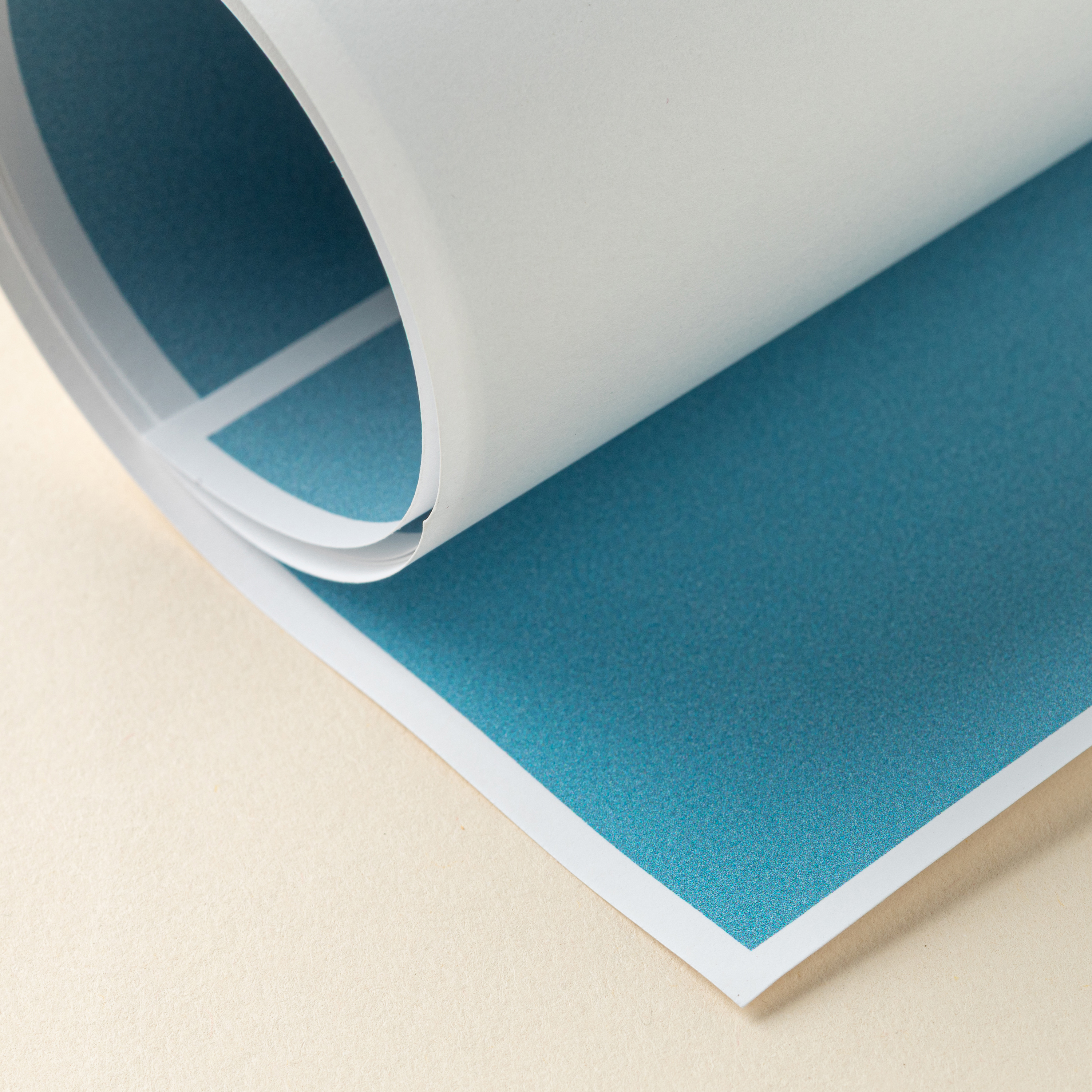 Custom Poster Prints | Mpix
