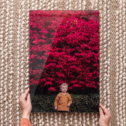 A tall acrylic print featuring a kid in a field with bright red trees.