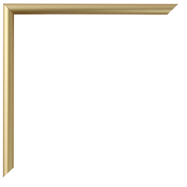 Gold Metal Frame