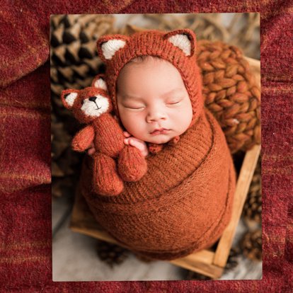 A metal print of a photo of a newborn baby wrapped in a swaddle to look like a fox.