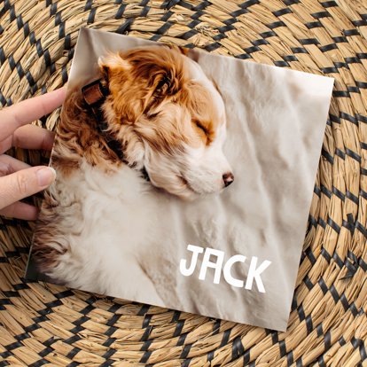 A square photo book with images of a small pet dog.