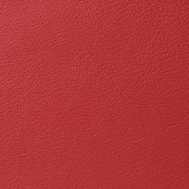 Seasonal Red Leather
