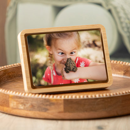 A tabletop framed metal print on display featuring a photo of a young girl smiling at a frog sitting on the top of her hand. 