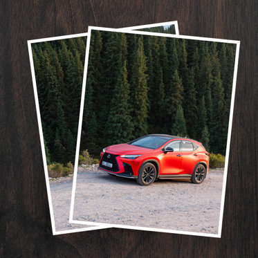 Two large business photo prints featuring a red SUV parked on a gravel road in front of an evergreen forest.