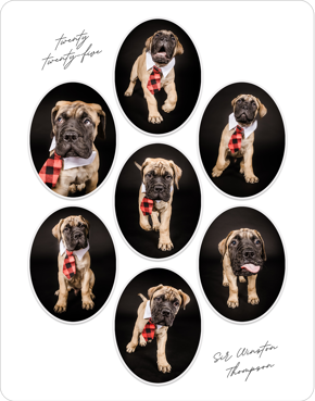 prod_vertical_5x7Front