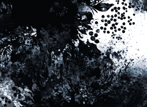 prod_horizontal_4x5_5Back