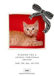 prod_vertical_5x7Back