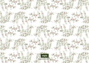 prod_horizontal_5x7Back