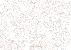 prod_horizontal_5x7Back