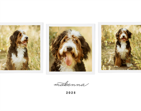 prod_vertical_5x7Front