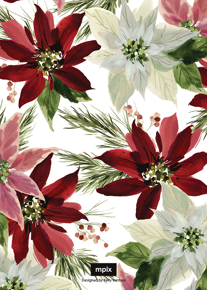 prod_vertical_5x7Back