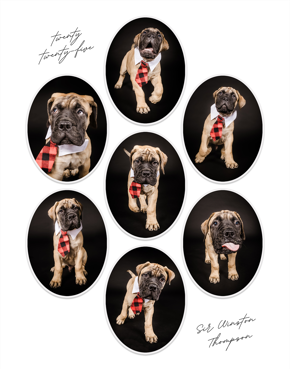 prod_vertical_5x7Front