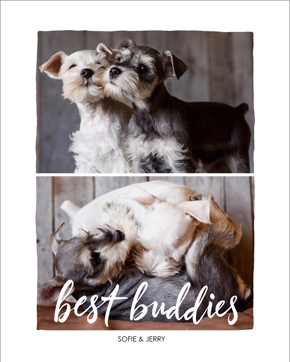 prod_vertical_5x7Front