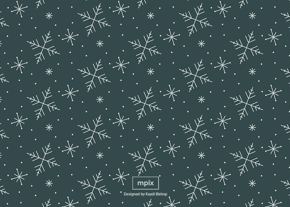 prod_horizontal_5x7Back