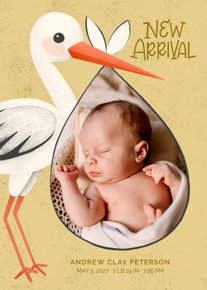 prod_vertical_5x7Front