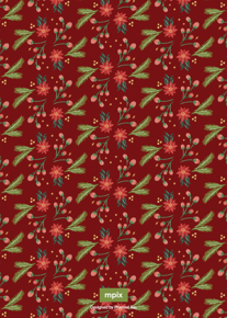 prod_vertical_5x7Back