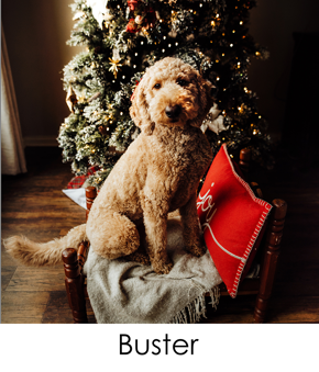 prod_vertical_5x7Front