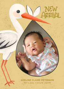 prod_vertical_5x7Front