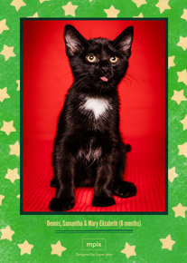 prod_vertical_5x7Back