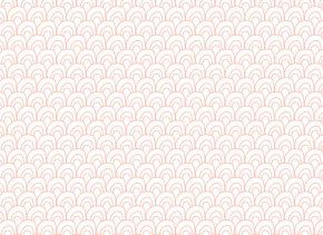 prod_horizontal_4x5_5Back