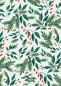 prod_vertical_5x7Back