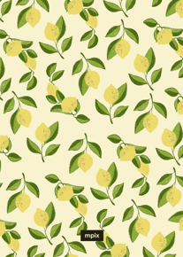 prod_vertical_5x7Back