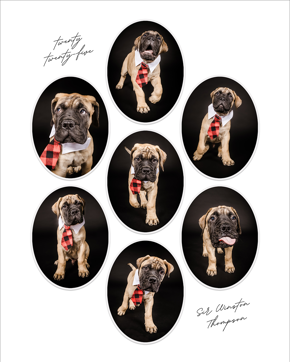 prod_vertical_5x7Front