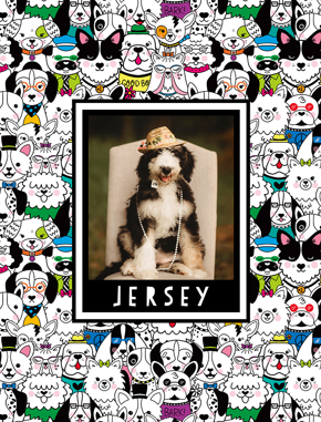 prod_vertical_5x7Front