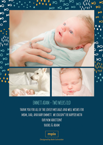 prod_vertical_5x7Back