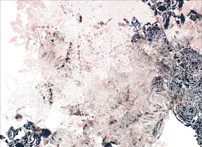 prod_horizontal_4x5_5Back