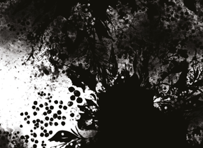 prod_horizontal_4x5_5Back