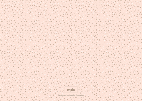 prod_horizontal_5x7Back