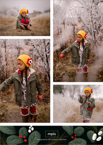 prod_vertical_5x7Back