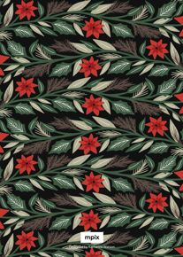 prod_vertical_5x7Back