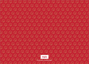 prod_horizontal_5x7Back