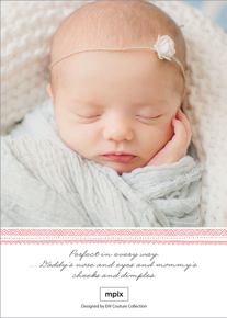 prod_vertical_5x7Back